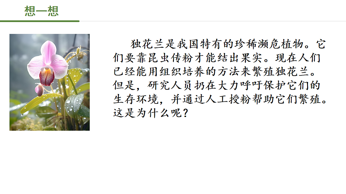17763475第1页
