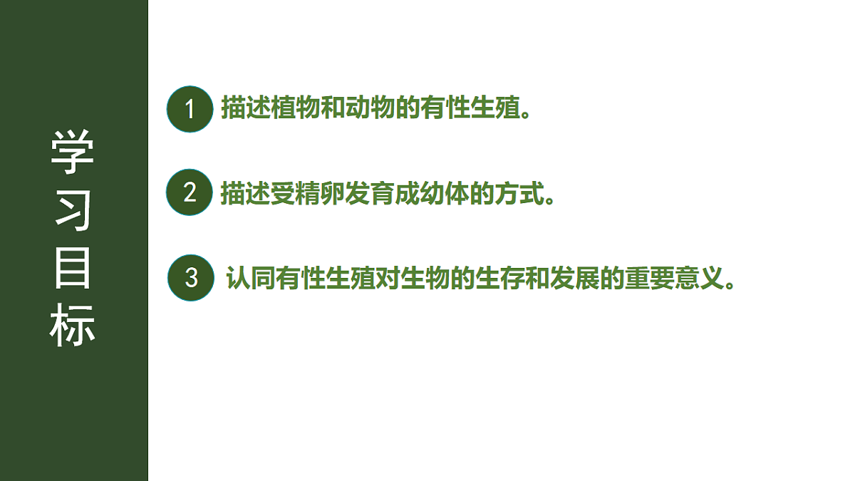 17763475第3页