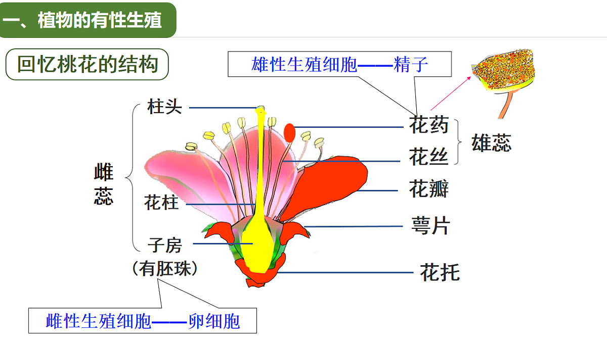 17763475第4页