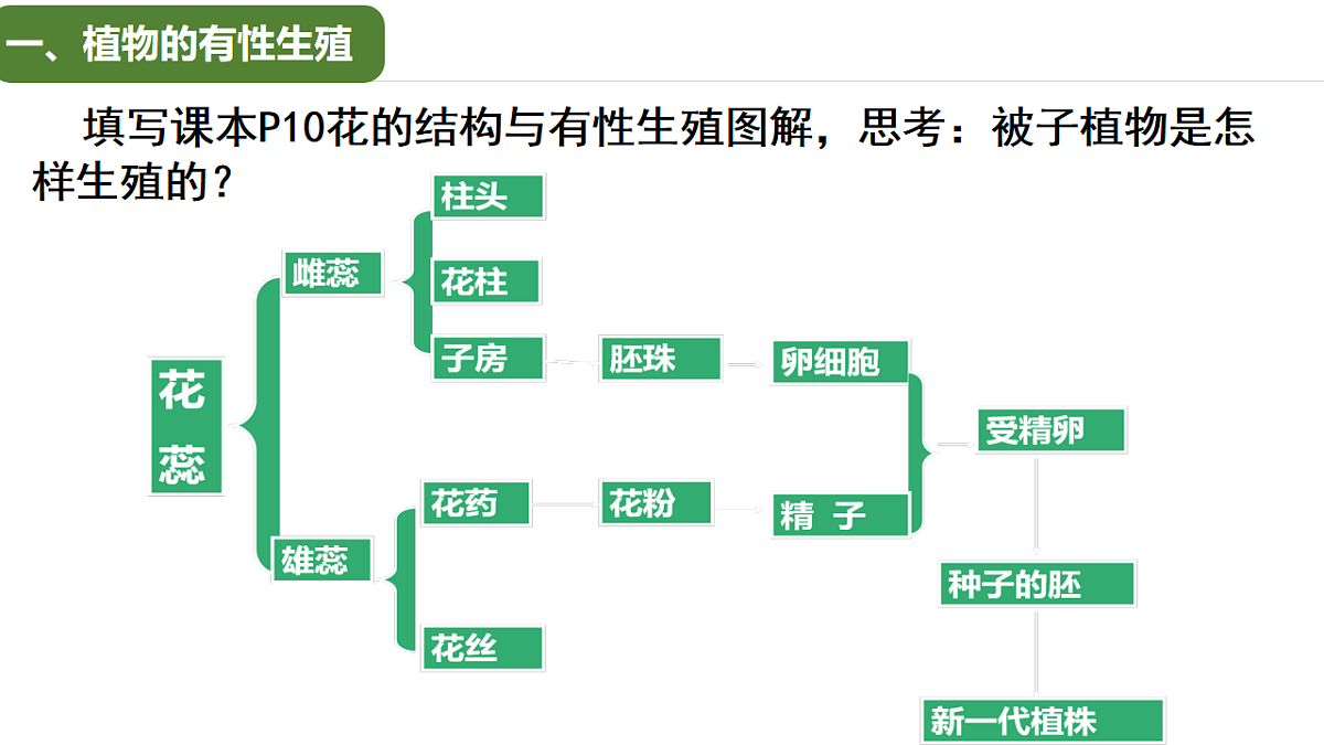 17763475第5页