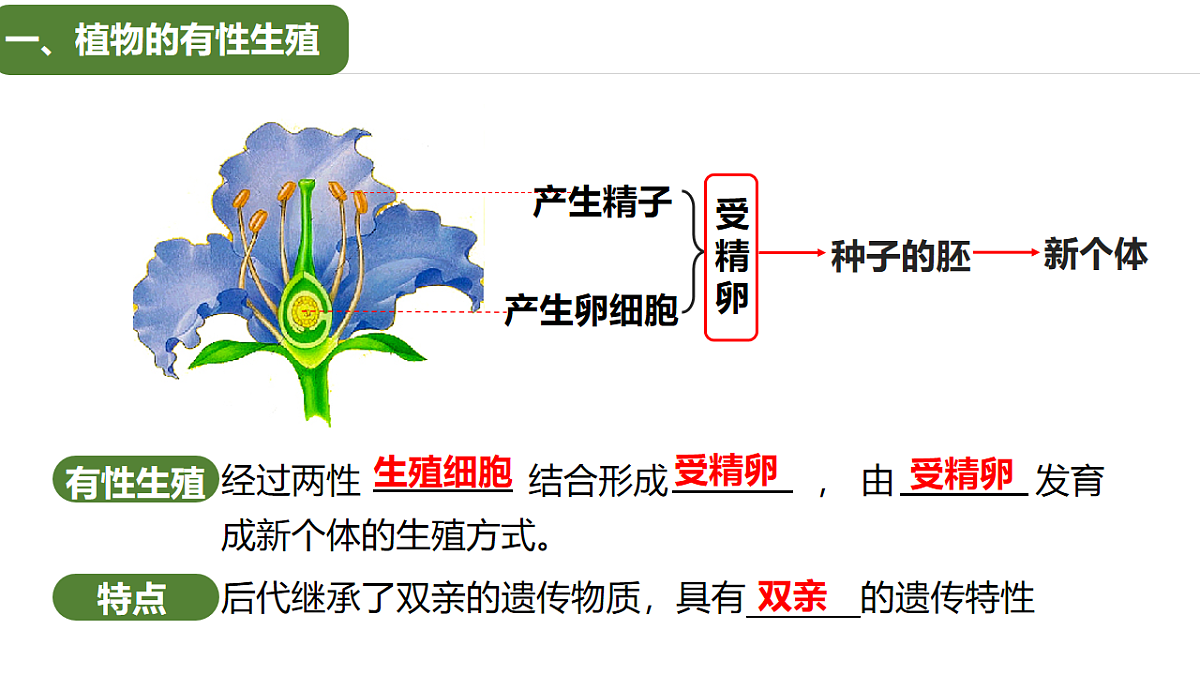 17763475第6页