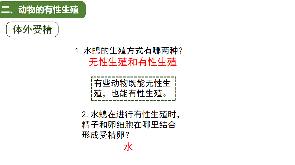 17763475第7页