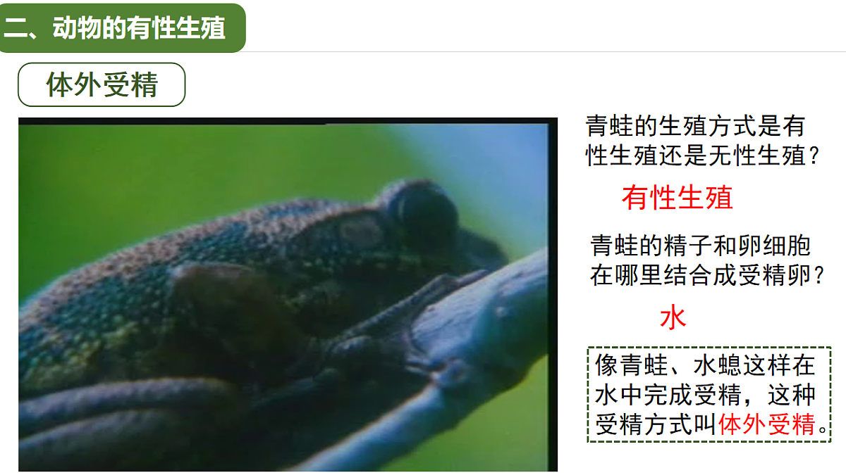 17763475第8页