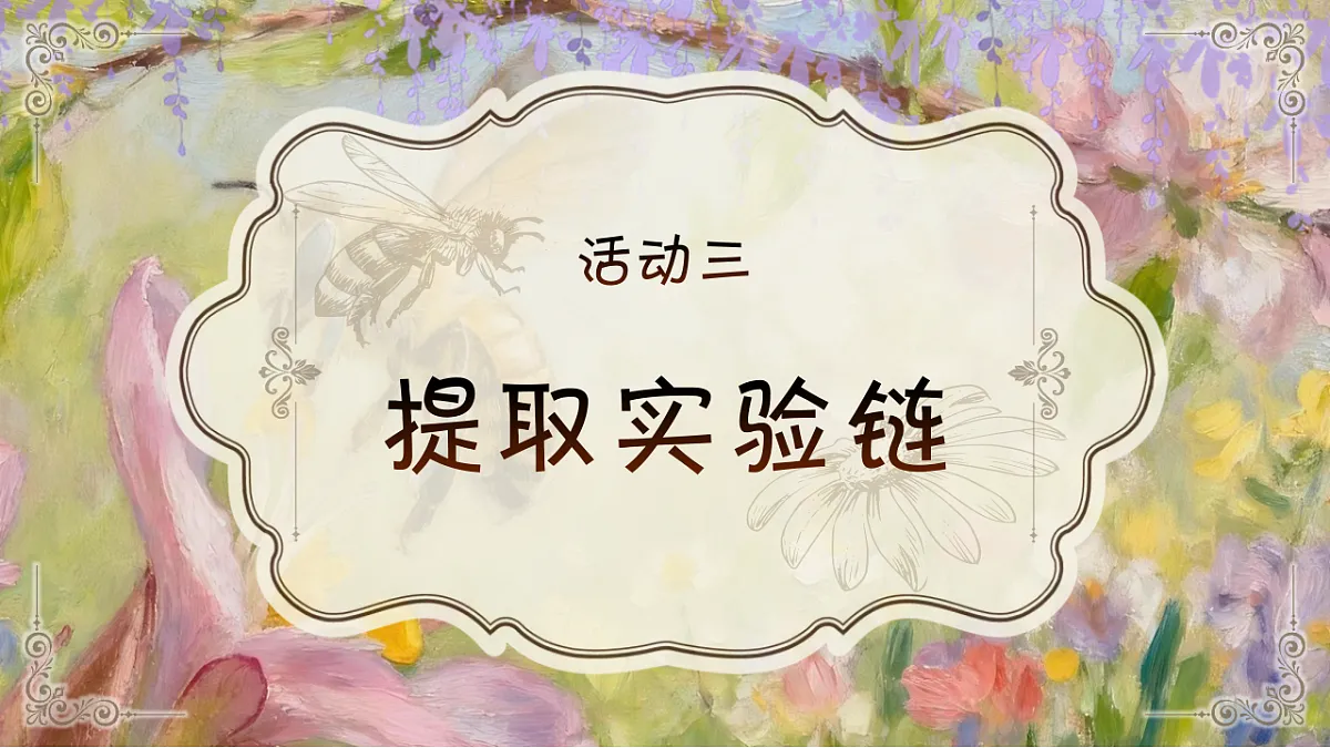 三下第三单元10《石蜂》(第二课时) 教学课件第3页