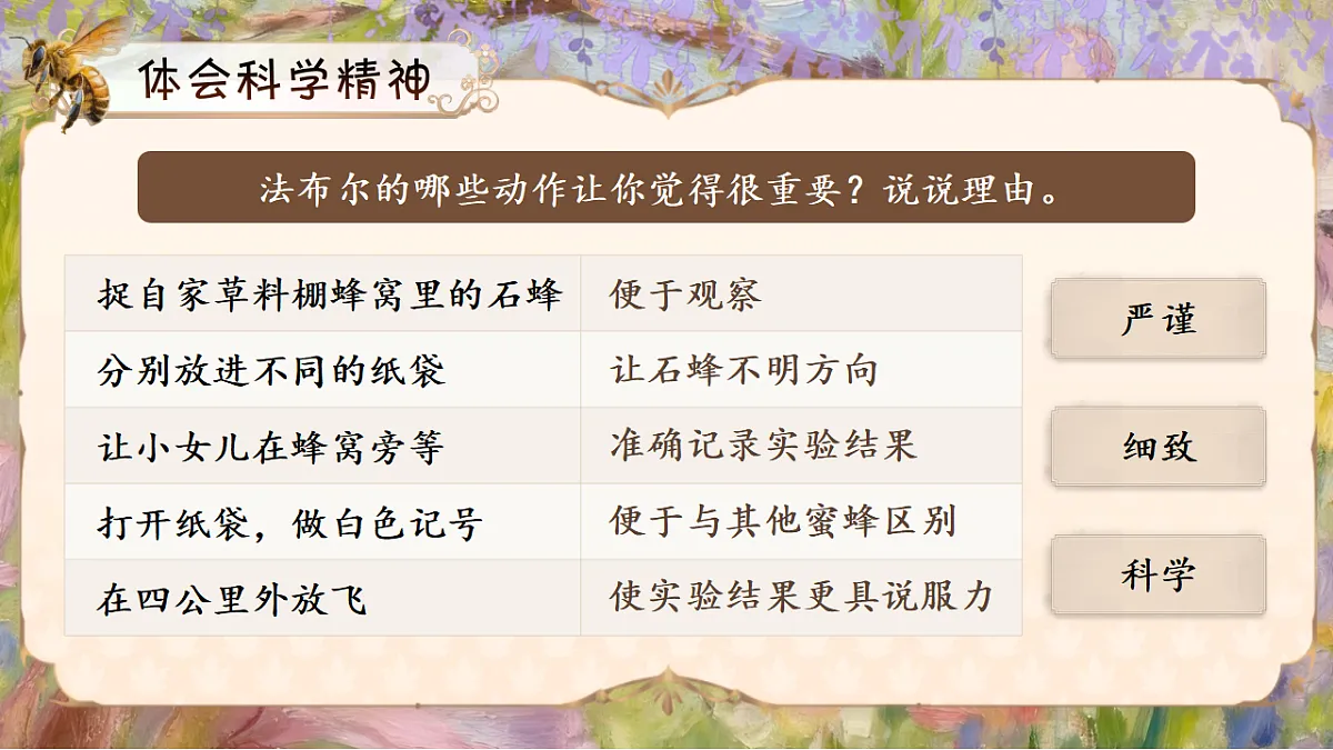 三下第三单元10《石蜂》(第二课时) 教学课件第5页