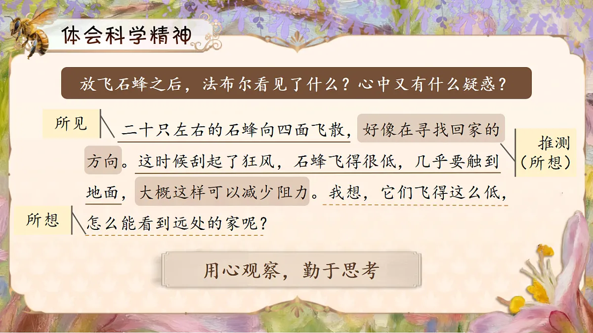 三下第三单元10《石蜂》(第二课时) 教学课件第6页