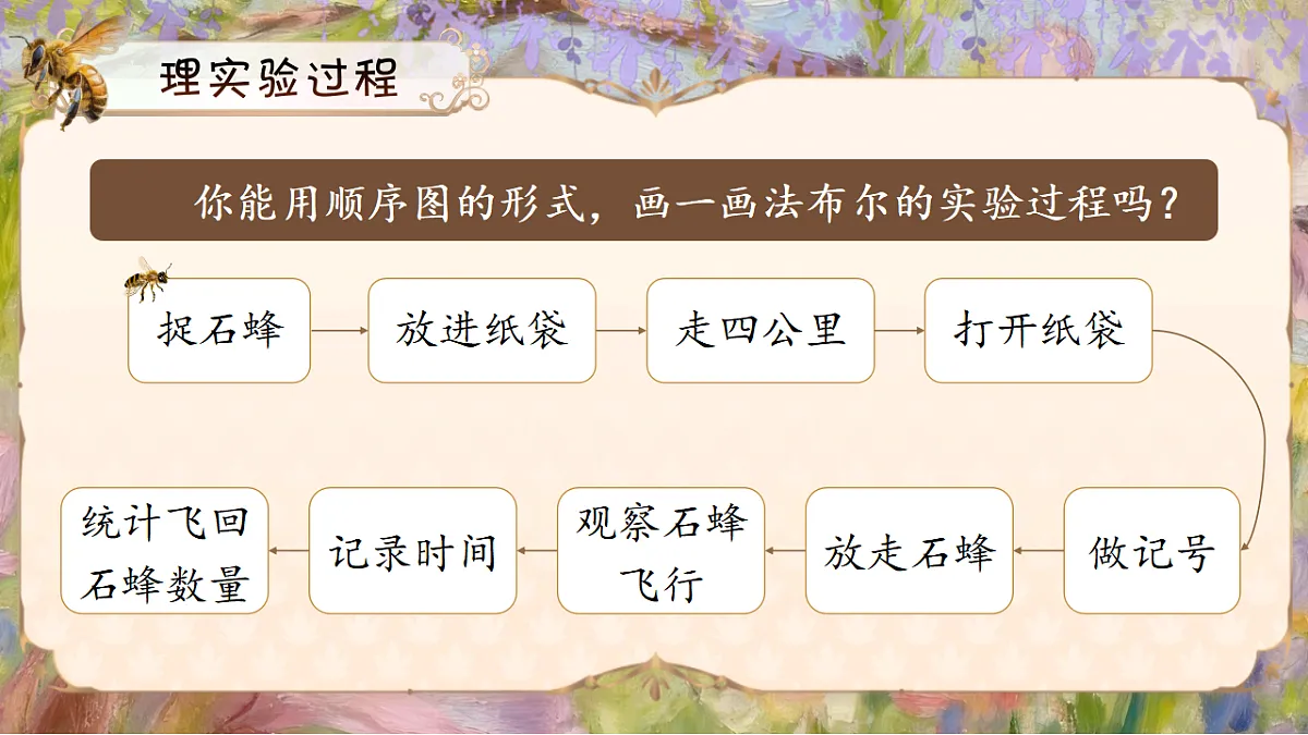 三下第三单元10《石蜂》(第二课时) 教学课件第8页