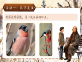 统编版（2024）语文三年级下册 20《灰雀》（课件+教学设计）