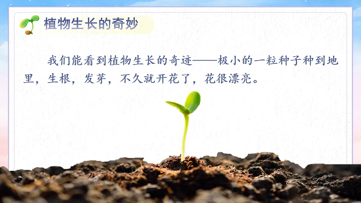 三下第七单元《我们奇妙的世界》（第二课时）教学课件第8页