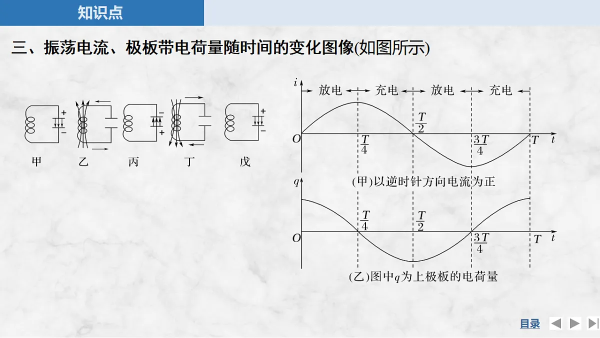 17764475第7页