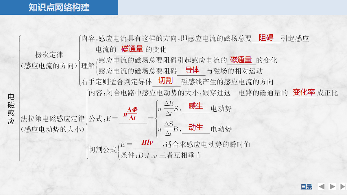 17764709第4页