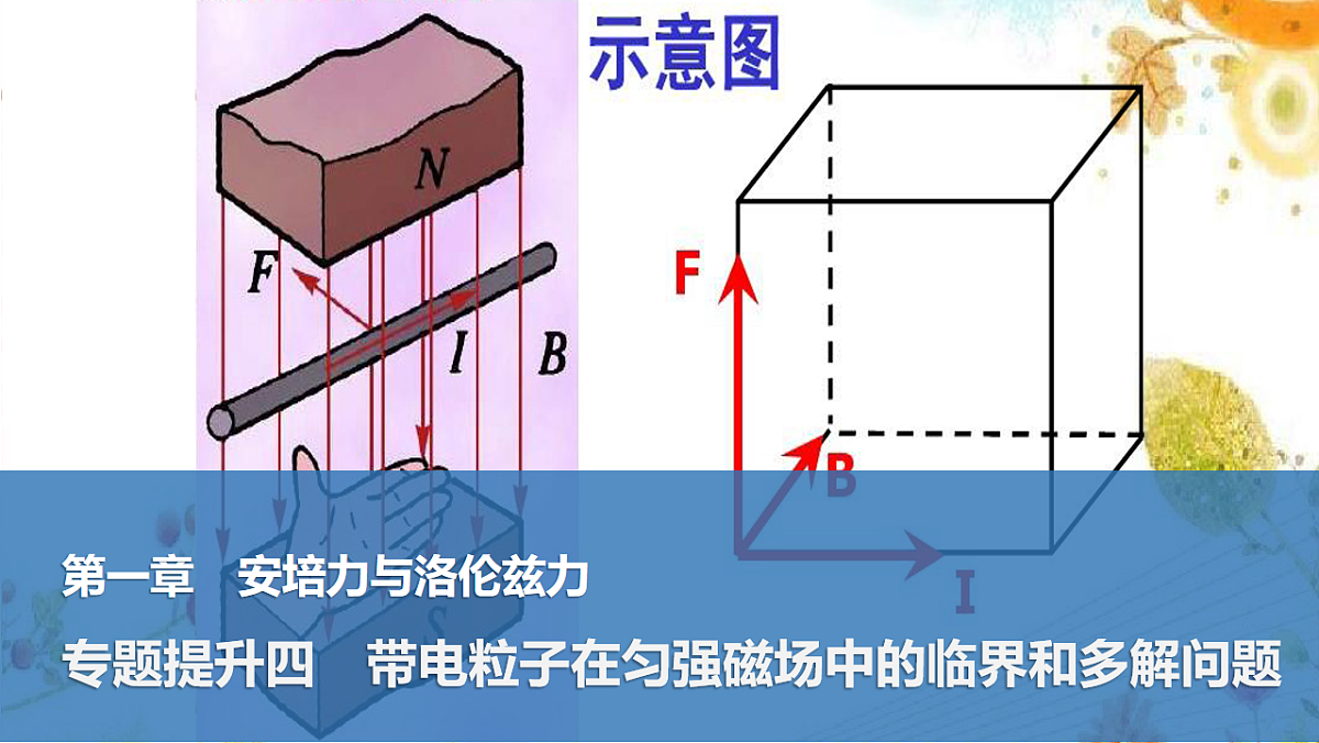 17764714第1页