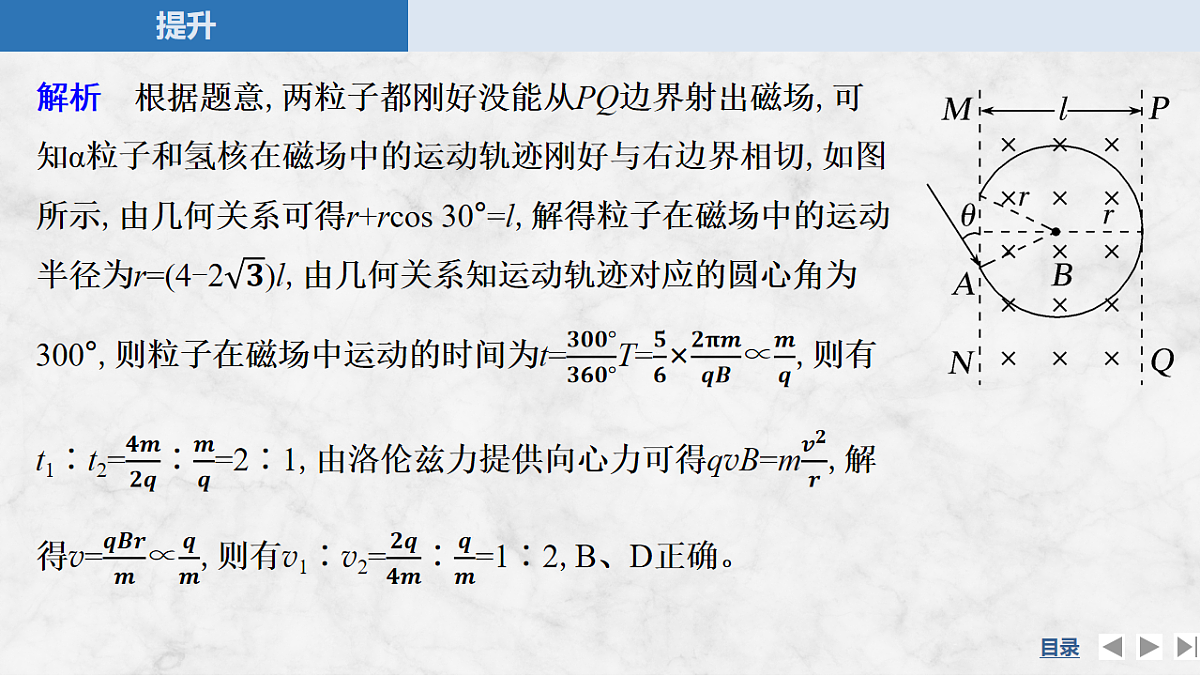 17764714第7页