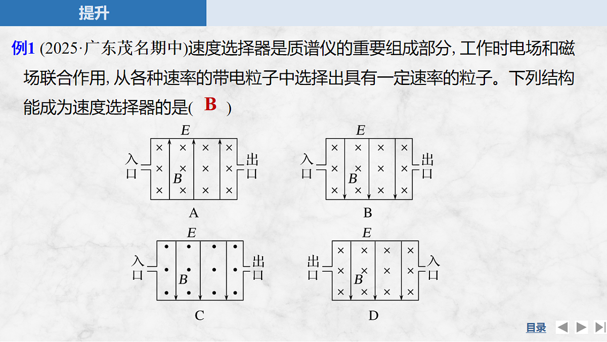17764716第8页
