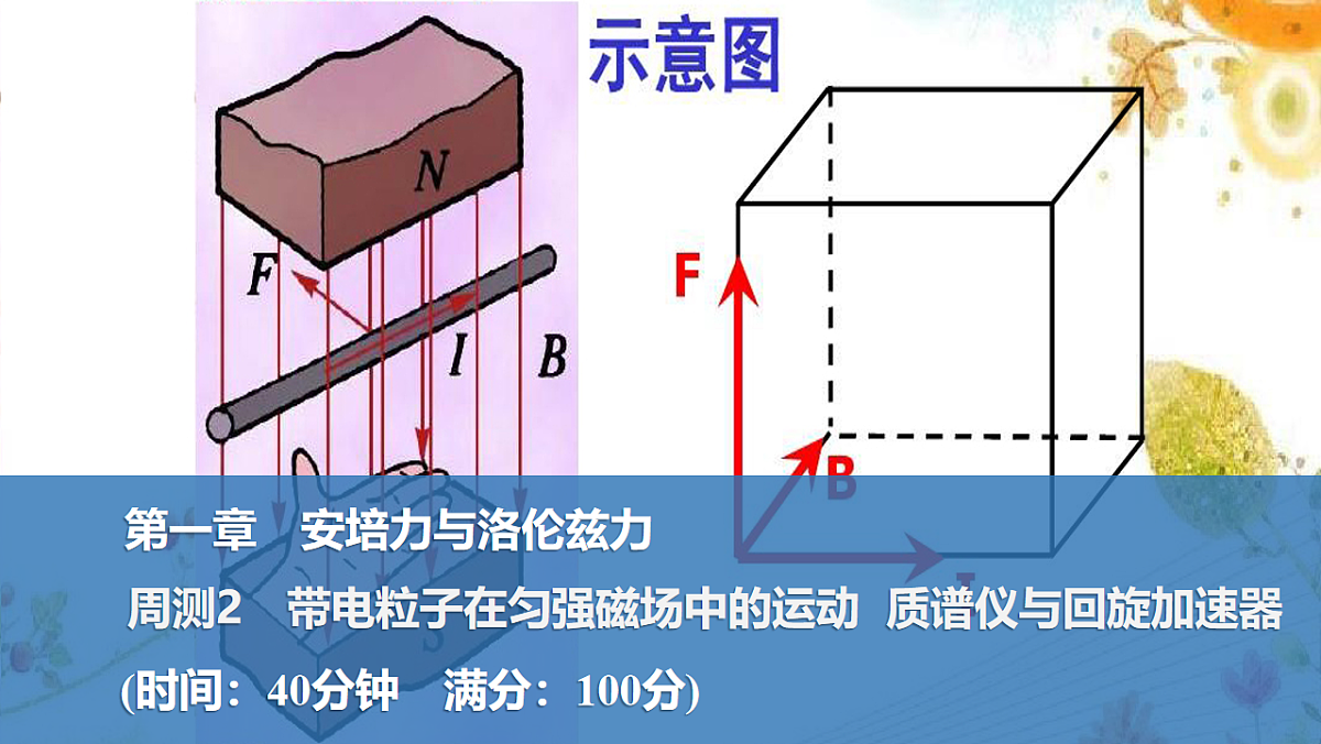 17764731第1页