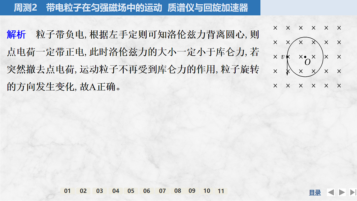 17764731第3页