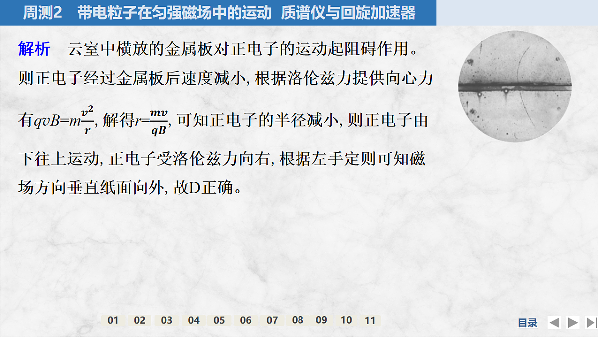 17764731第7页