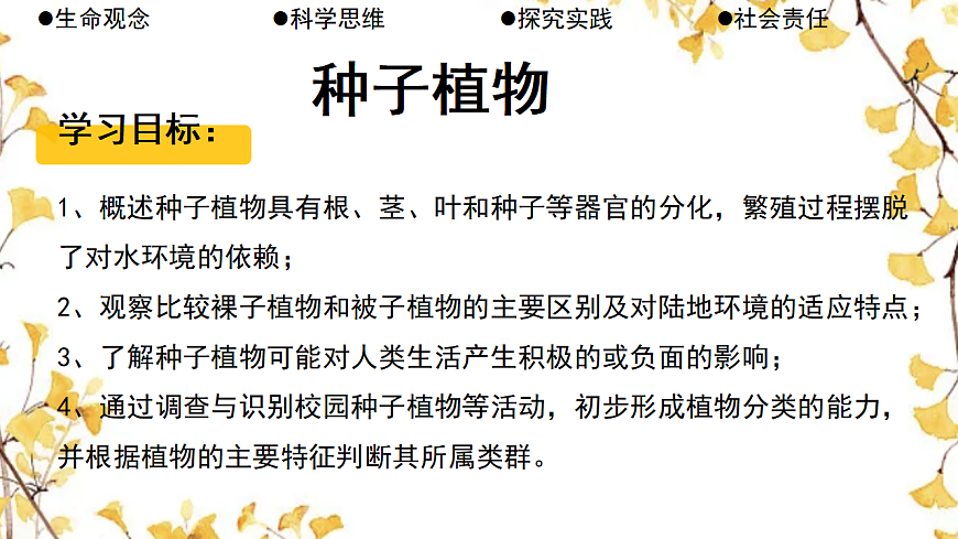 17764743第2页
