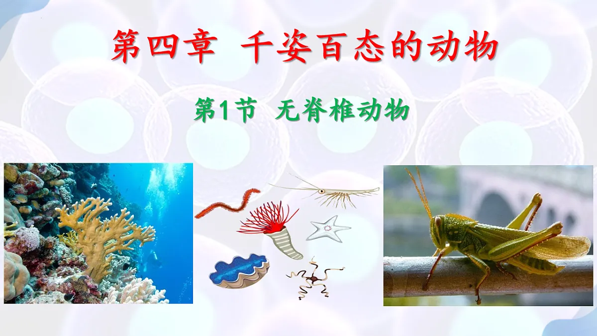 17766172第1页