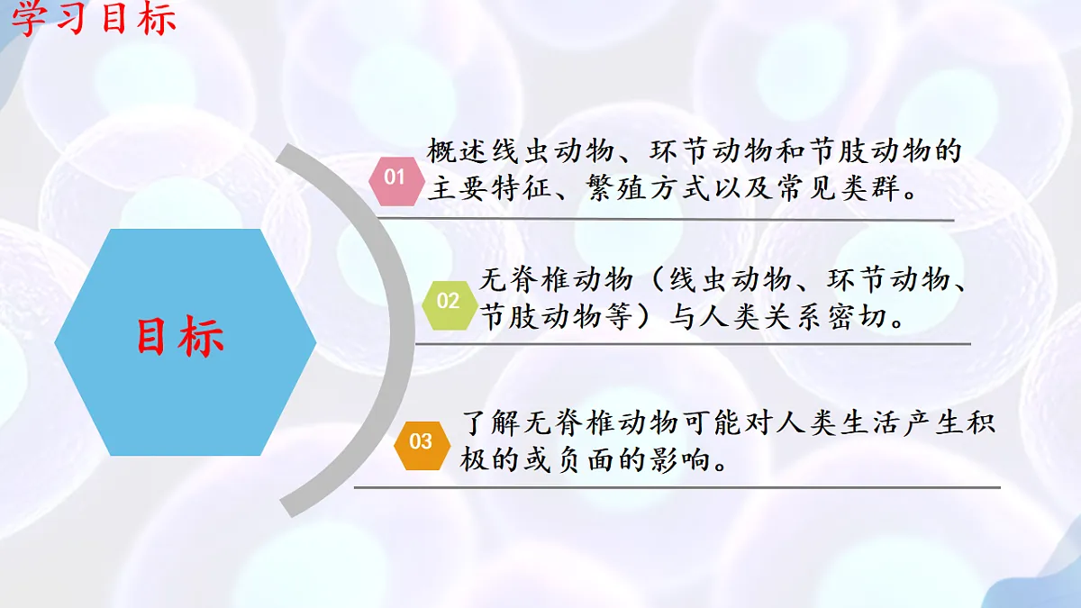 17766172第2页