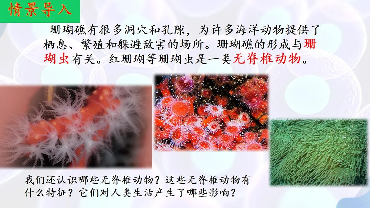 17766172第4页