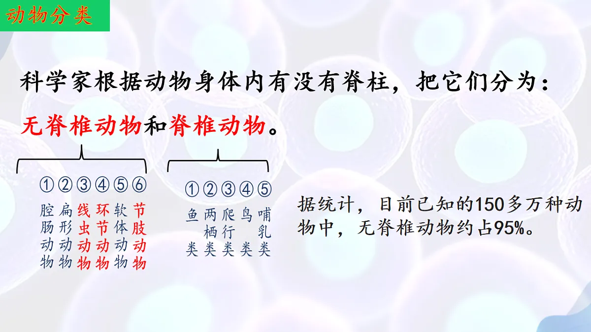 17766172第6页