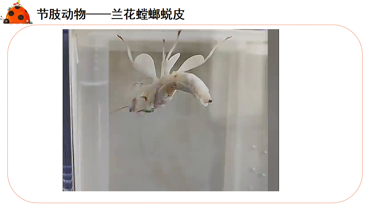 17766173第6页