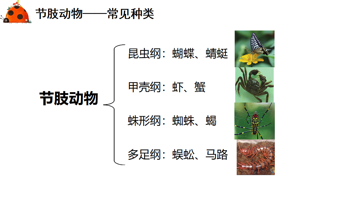 17766173第8页