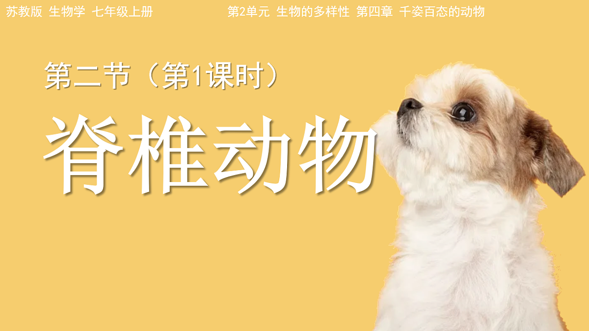17766176第1页