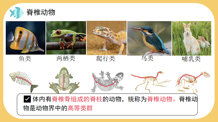 17766176第5页