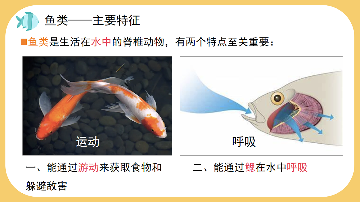 17766176第7页