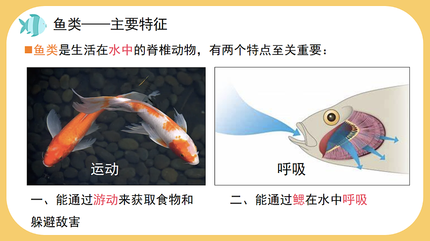 17766176第7页