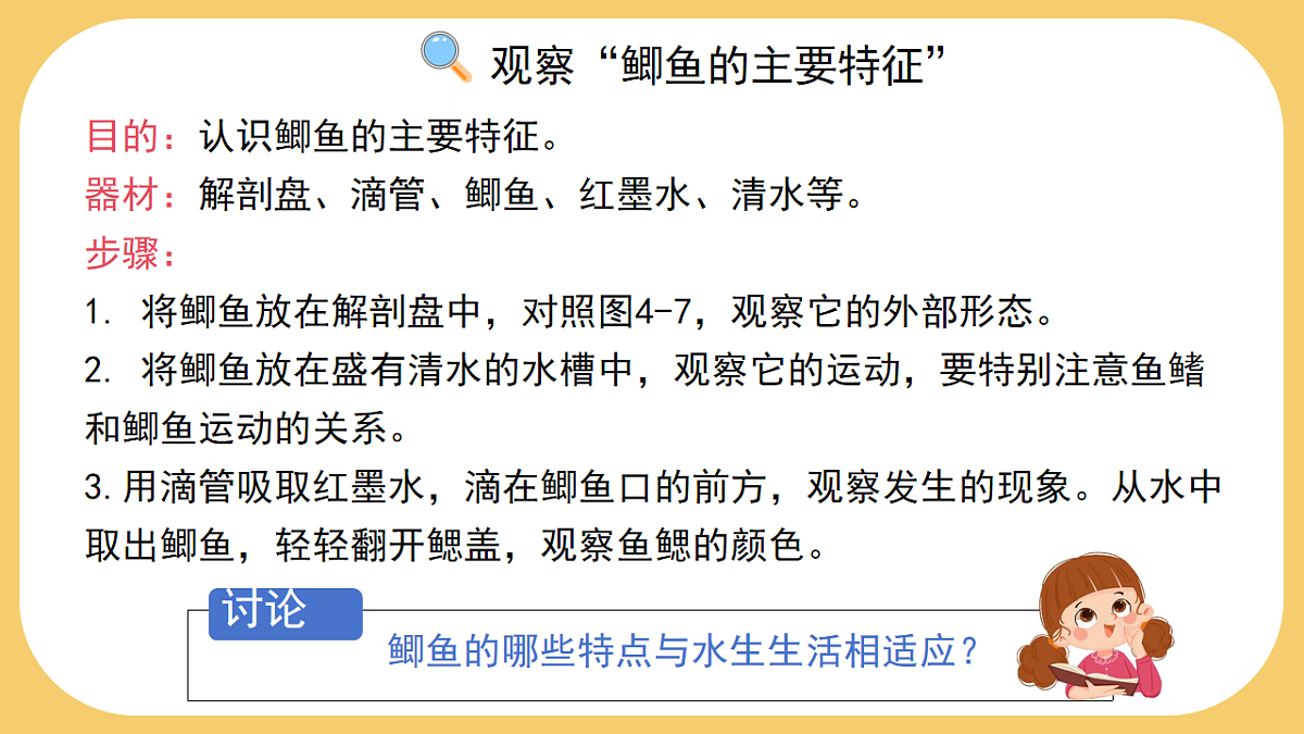 17766176第8页