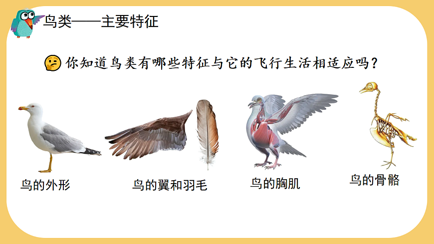 17766177第5页