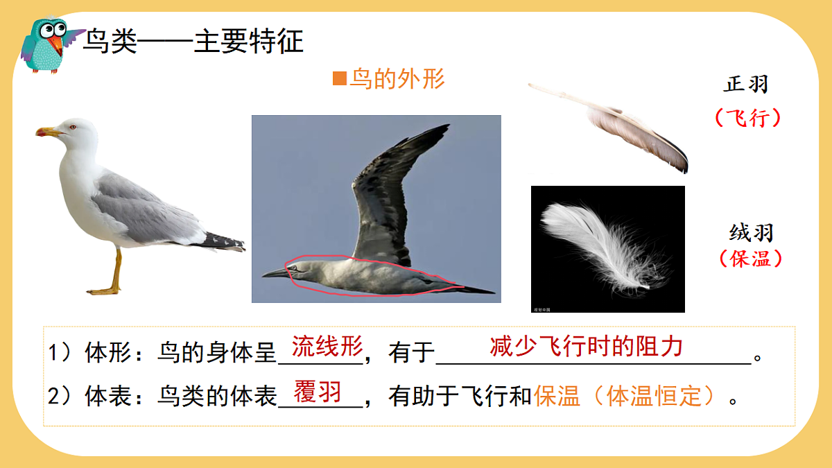 17766177第6页