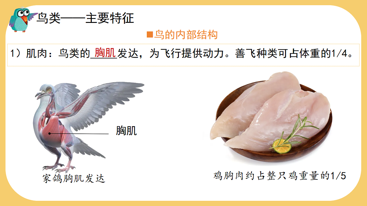 17766177第7页