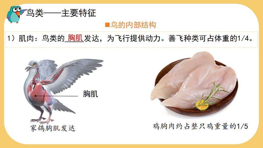 17766177第7页
