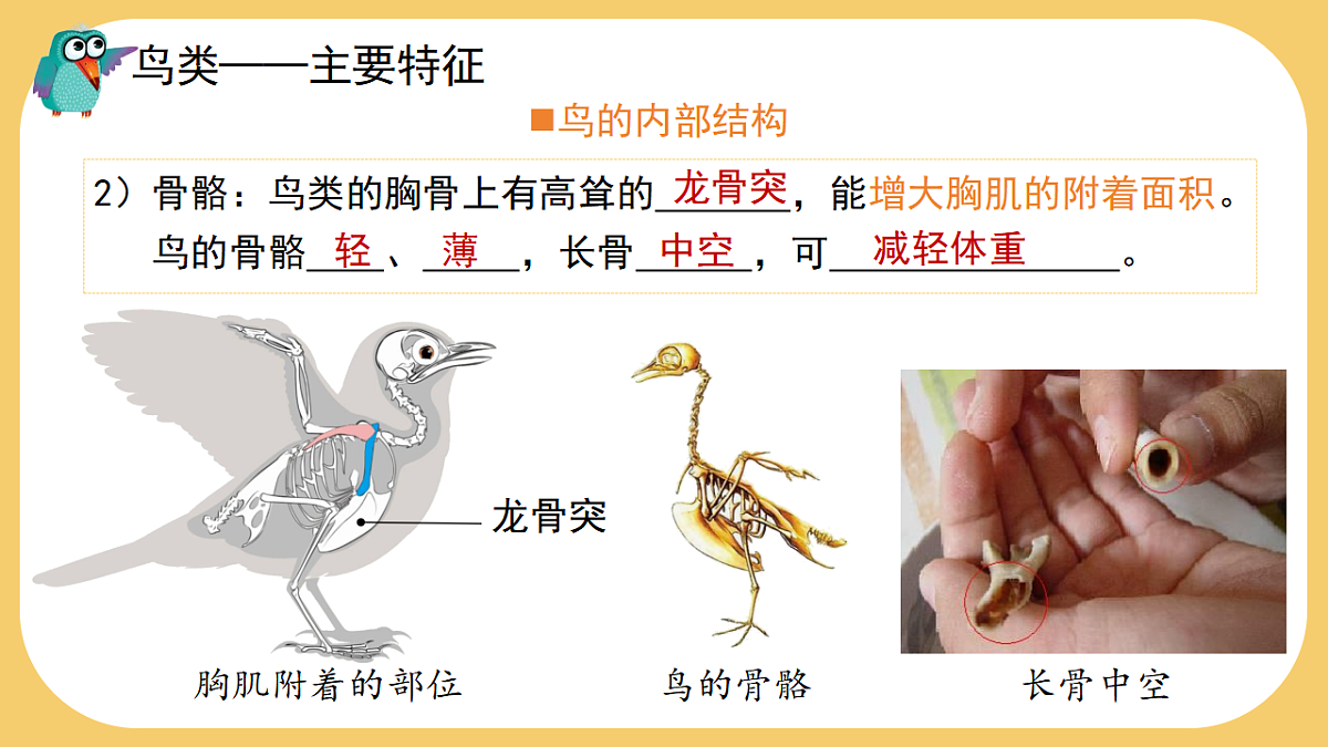 17766177第8页