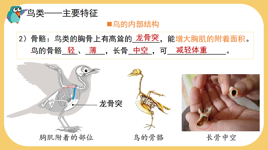 17766177第8页