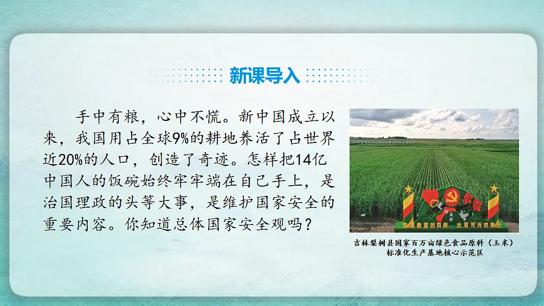17766867第2页
