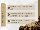 部编版初中语文八年级下册  第8课《时间的脚印 》课件+教案