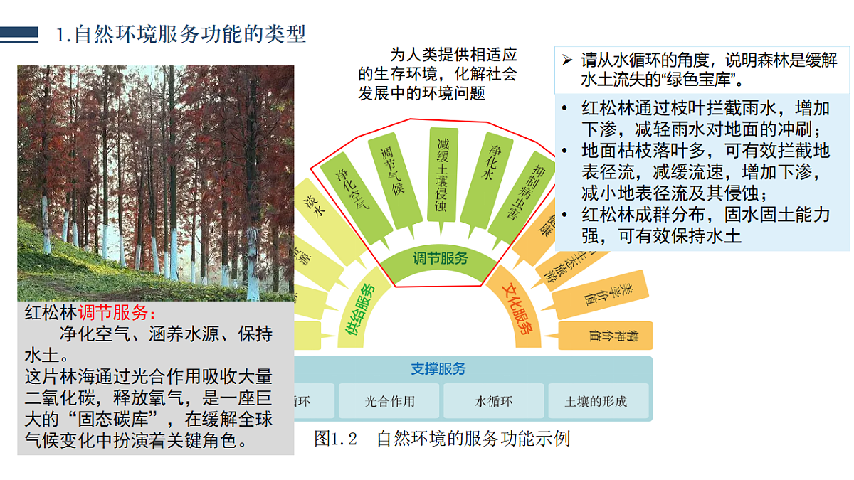 1.1 自然环境的服务功能（情境教学课件）2025-2026学年地理人教版选择性必修3第8页