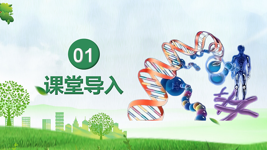 6.2.1 基因与生物性状的关系（教学课件）生物新教材人教版八年级下册第4页