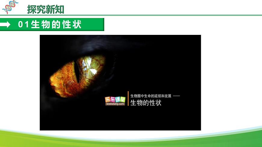 6.2.1 基因与生物性状的关系（教学课件）生物新教材人教版八年级下册第7页
