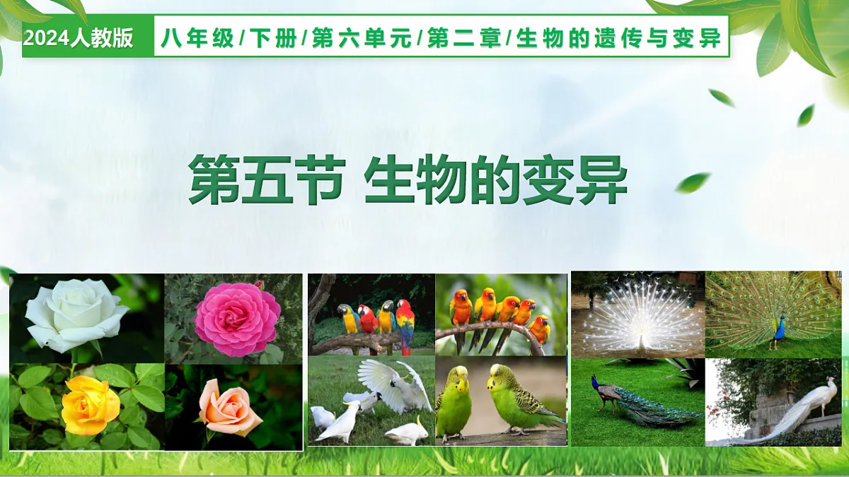 6.2.5 生物的变异（教学课件）生物新教材人教版八年级下册第1页