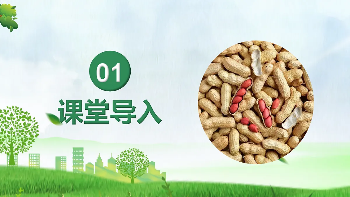 6.2.5 生物的变异（教学课件）生物新教材人教版八年级下册第4页