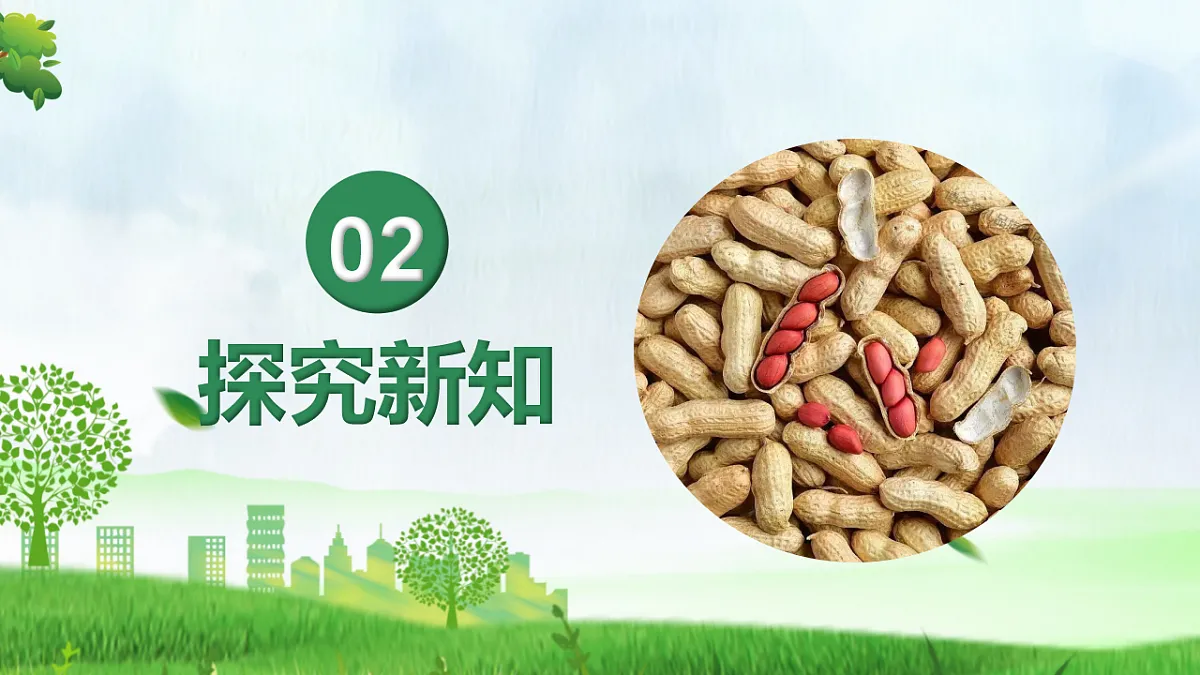 6.2.5 生物的变异（教学课件）生物新教材人教版八年级下册第6页