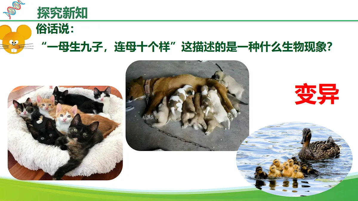 6.2.5 生物的变异（教学课件）生物新教材人教版八年级下册第7页