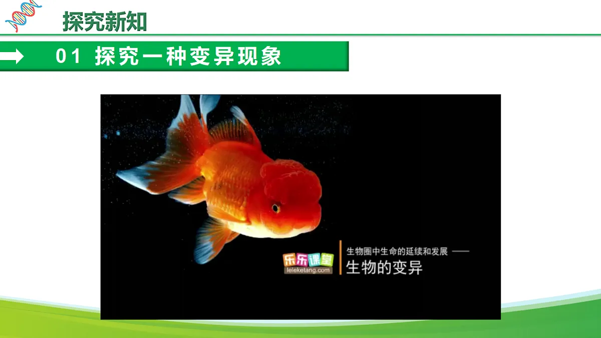 6.2.5 生物的变异（教学课件）生物新教材人教版八年级下册第8页