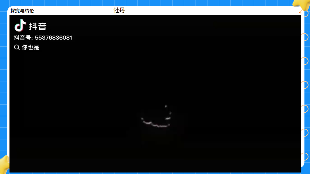 17767360第8页